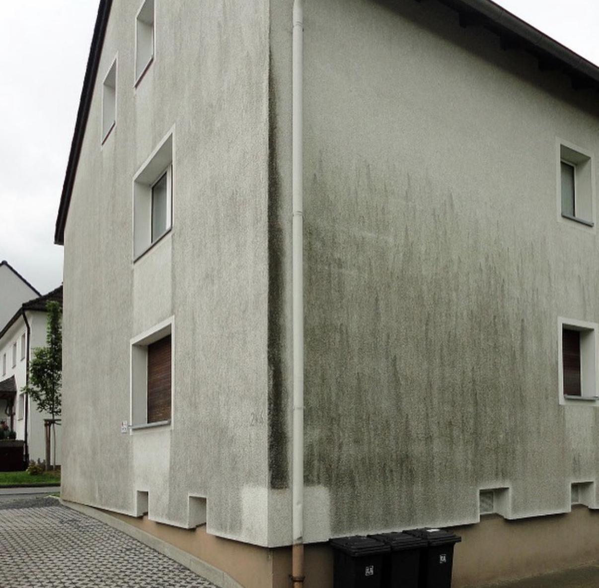 Fassadenreinigung vor der Reinigung