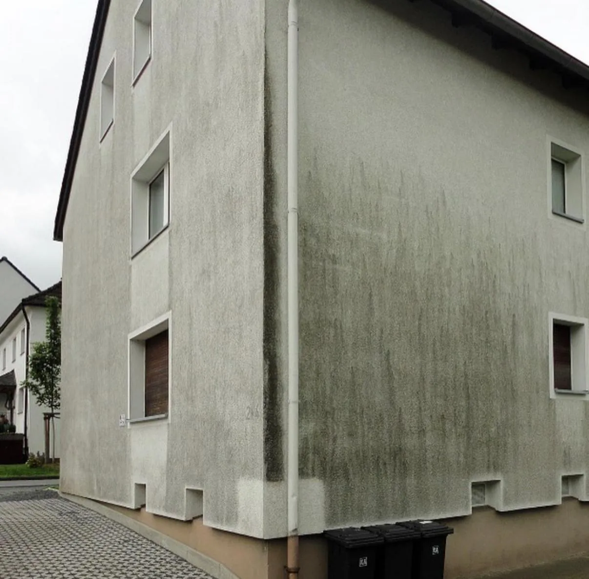 Strukturierte Hausfassade mit dunklen und grünlichen Verfärbungen vor der Reinigung